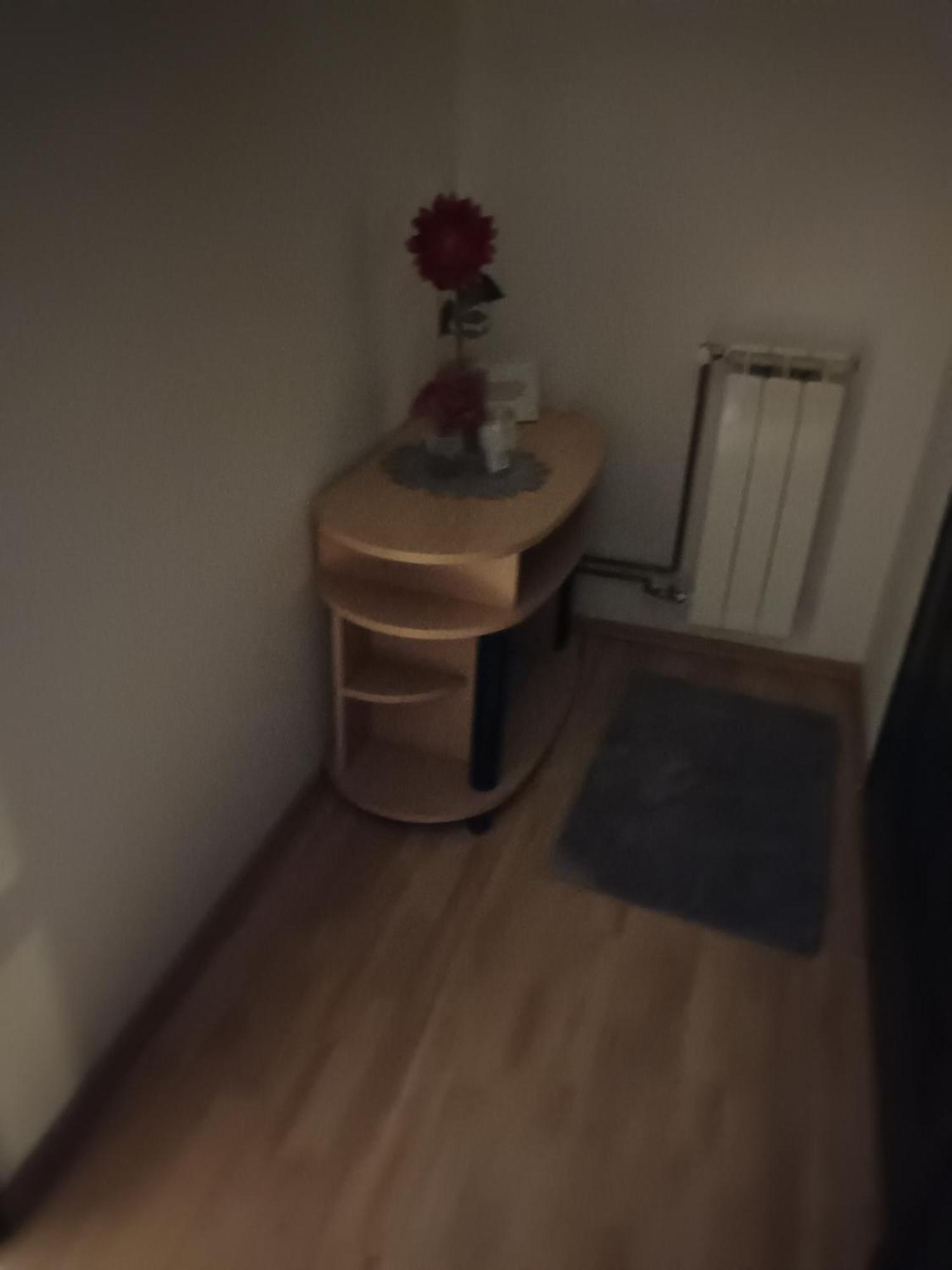 Studio Apartman Salopek أوغولين المظهر الخارجي الصورة